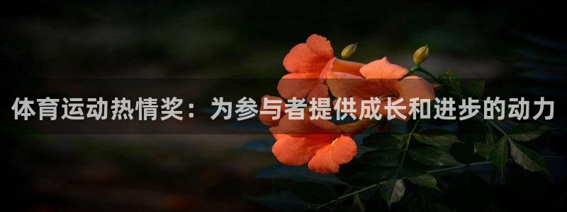 BTV体育直播官网入口：体育运动热情奖：为参与者提供成长和进步的动力