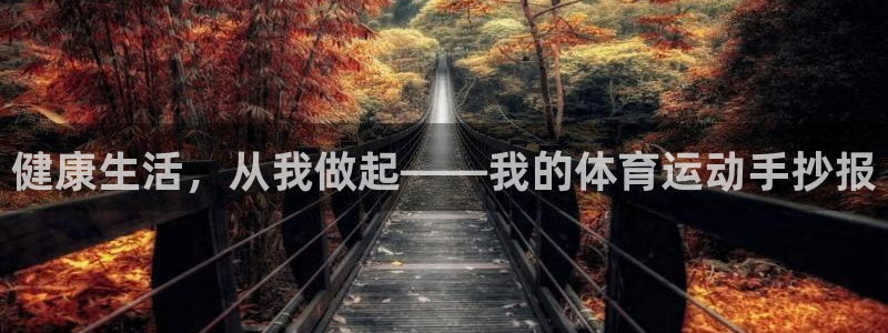 btv体育哪个台号：健康生活，从我做起——我的体育运动手抄报