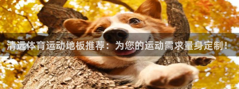 btv体育今天直播：清远体育运动地板推荐：为您的运动需求量身定制！
